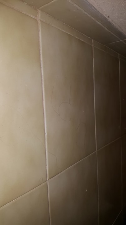 Zimmer Hotel Fonda Las Palmeras