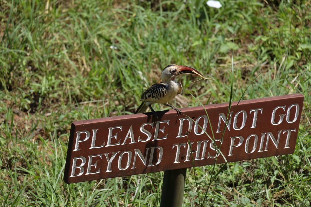 Sonstiges Kilaguni Serena Safari Lodge