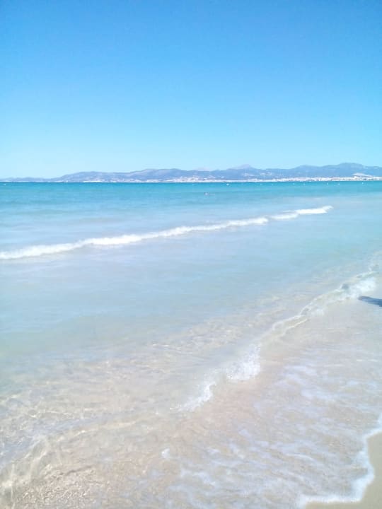Playa MLL Palma Bay Club Resort