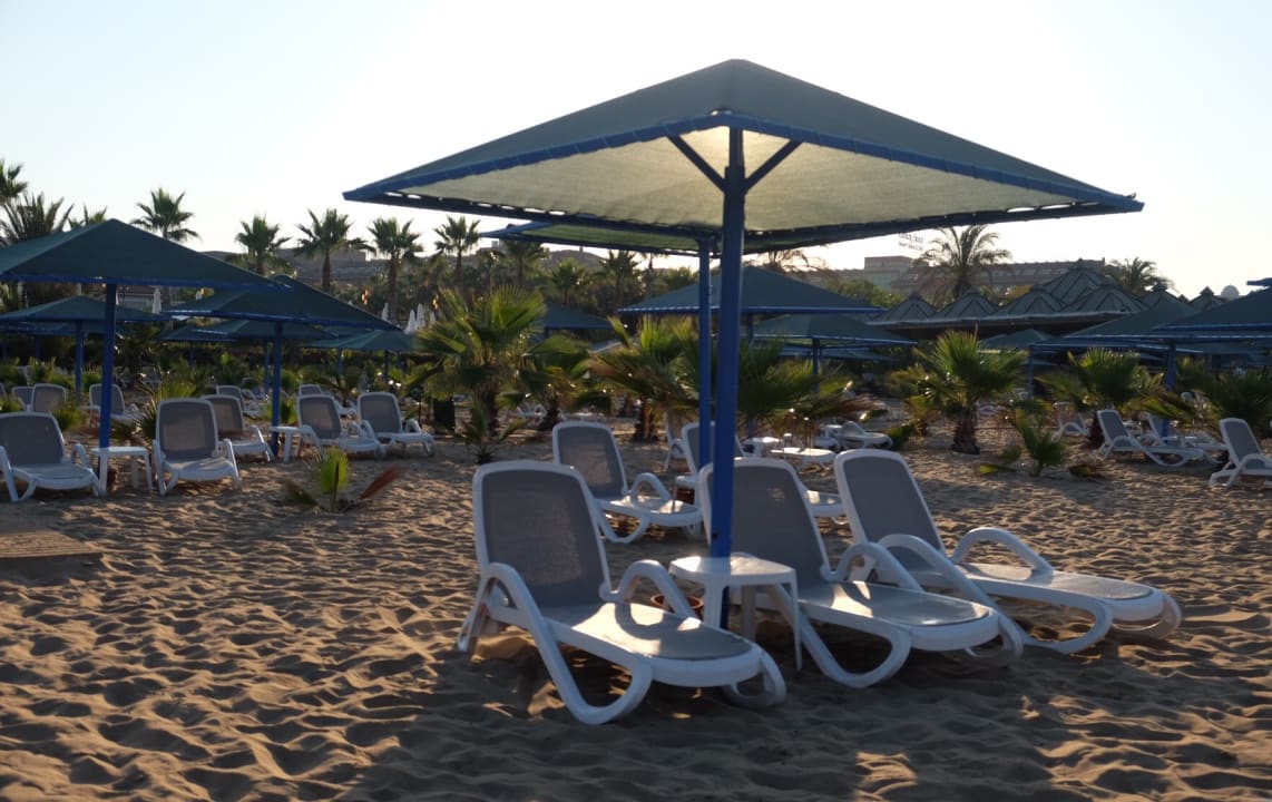 Strand Paloma Oceana