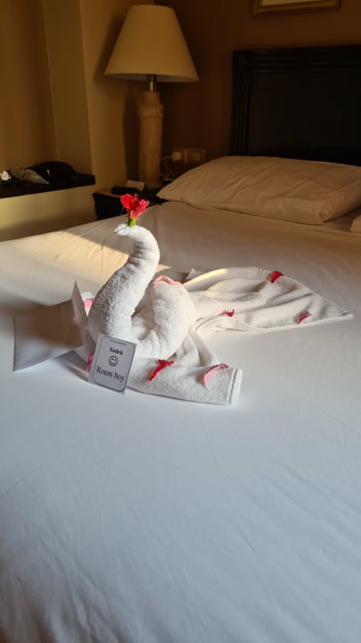 Zimmer Steigenberger Coraya Beach - Adults only