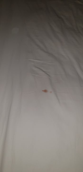 Zimmer Well Palace Side