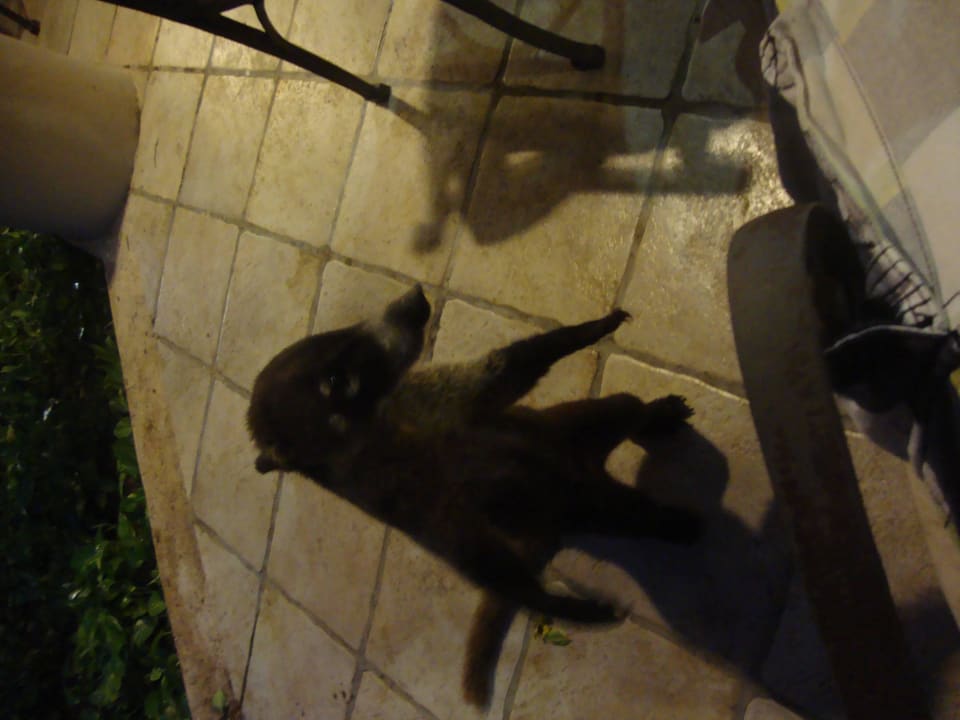 Hotel Catalonia Playa Maroma Catalonia Playa Maroma