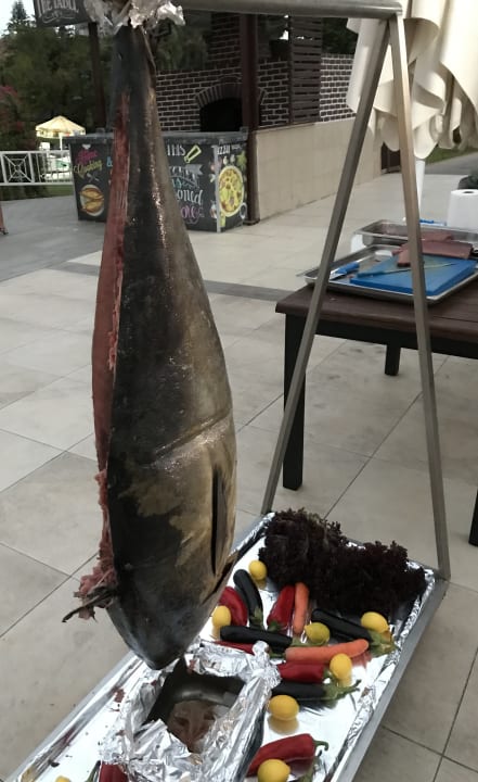 Gastro Asteria Family Resort Side