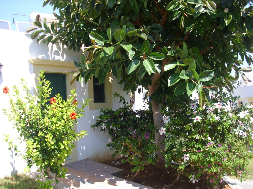 Bungalow TUI SUNEO Chrissi Amoudia