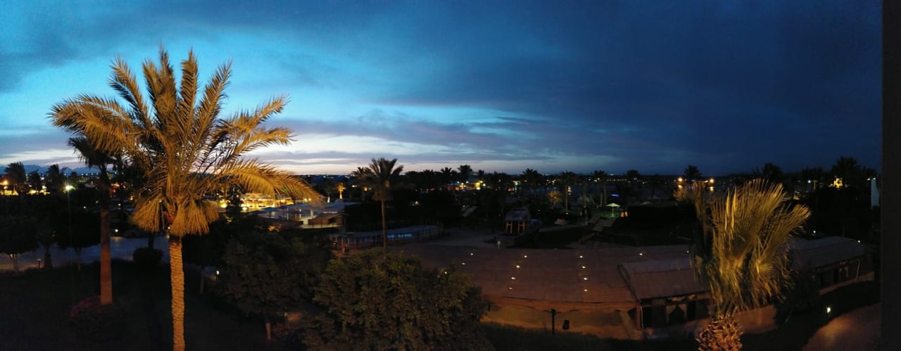 Ausblick Desert Rose