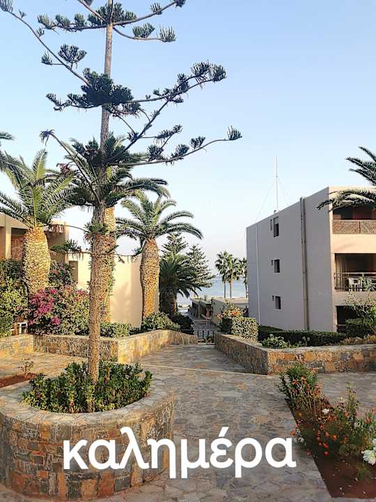 Gartenanlage allsun Hotel Malia Beach