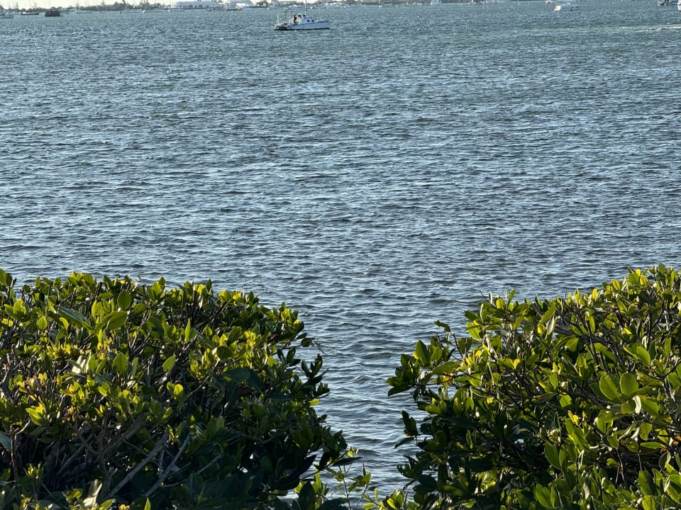 Ausblick Parrot Key Hotel & Resort