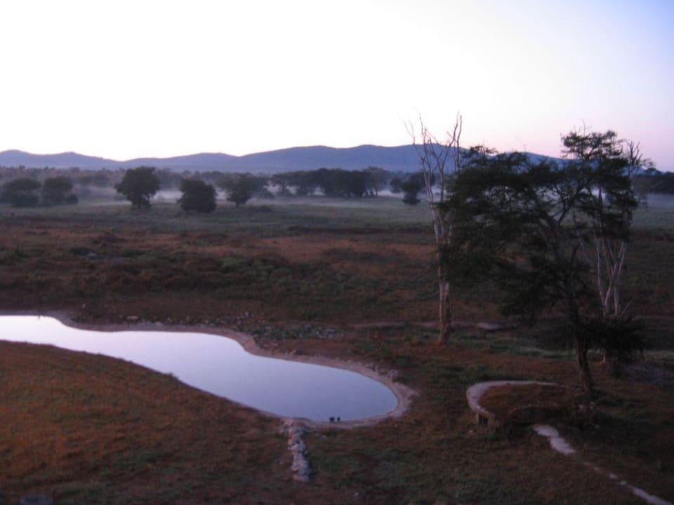 Wasserloch Salt Lick Safari Lodge