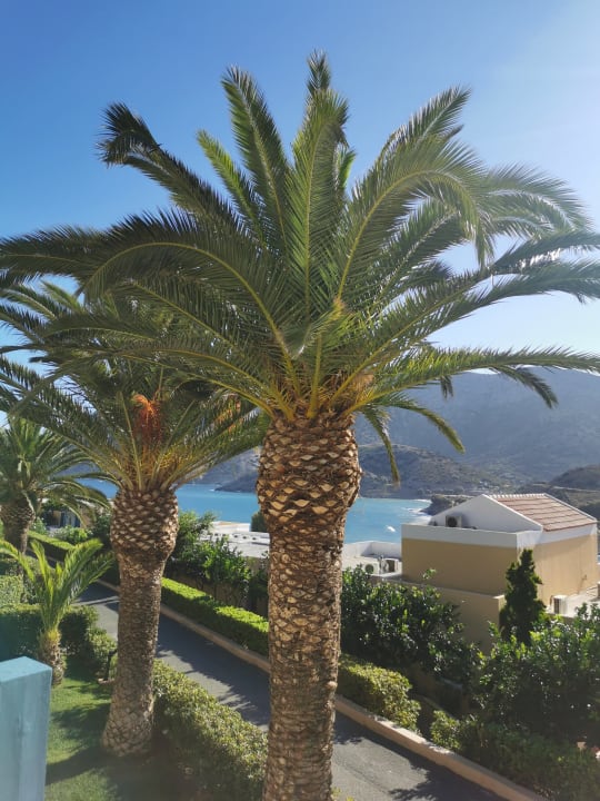 Ausblick Fodele Beach & Water Park Holiday Resort