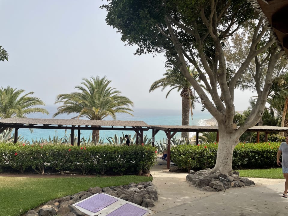Gartenanlage ROBINSON ESQUINZO PLAYA