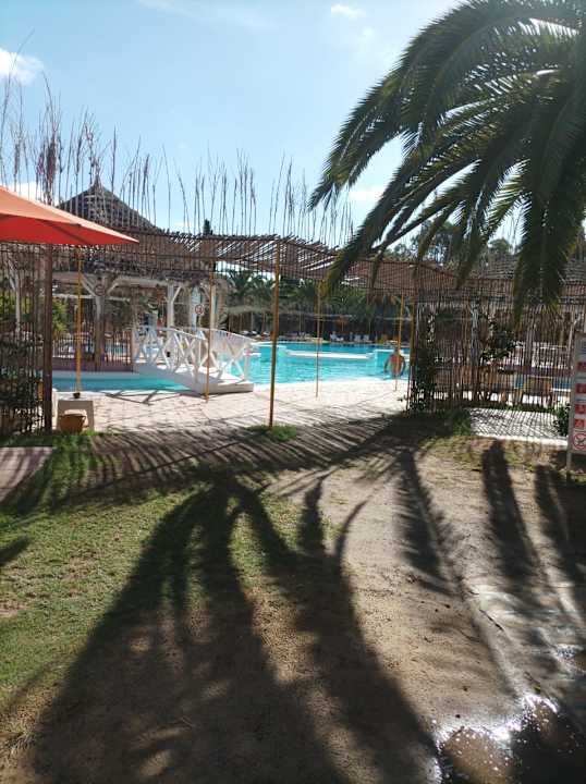 Pool Shalimar Hammamet