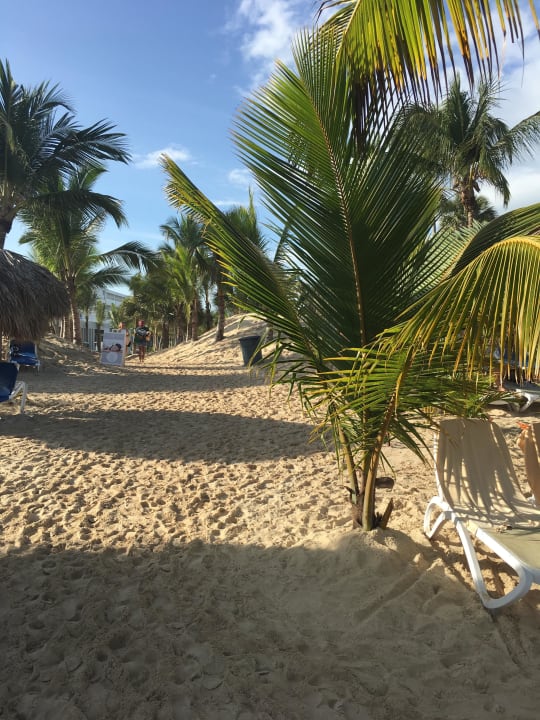Weg zum Strand Hotel Riu Republica - Adults only