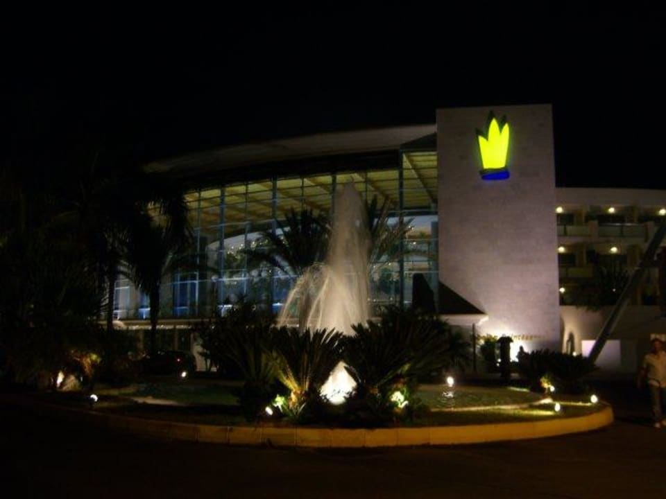 "Tabaiba Princess" bei Nacht Tabaiba Princess