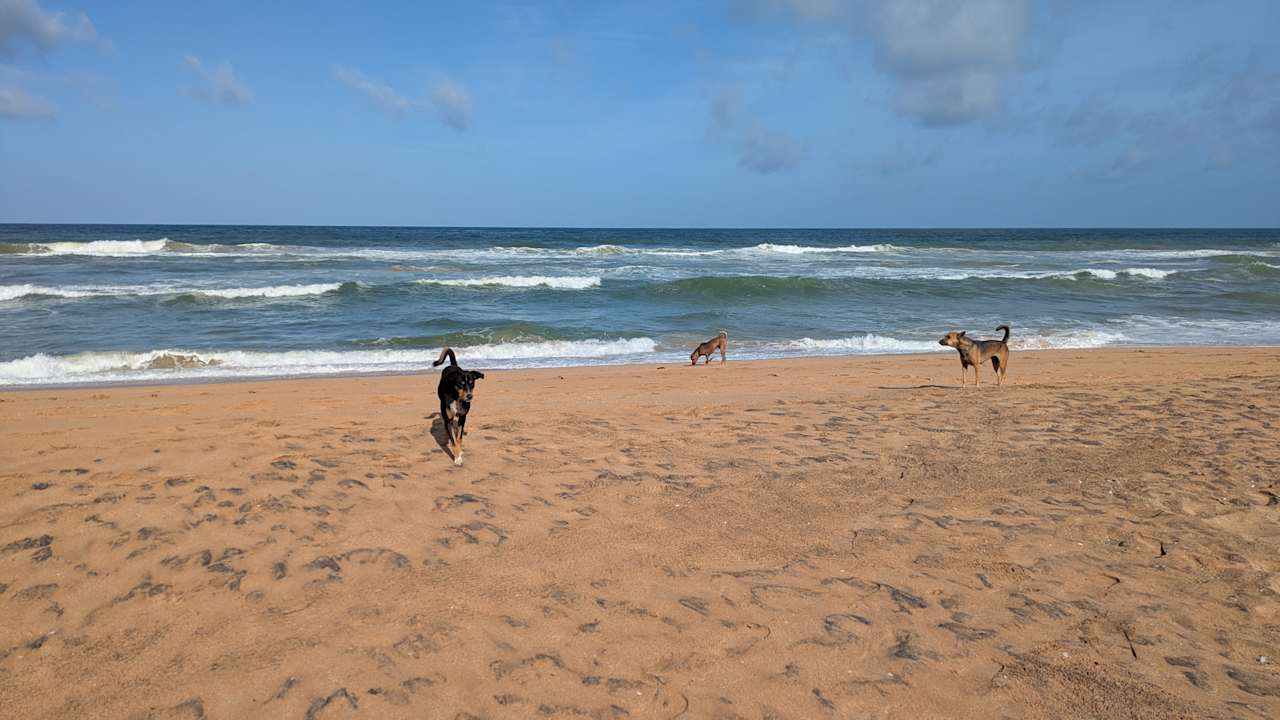 Strand Pandanus Beach Resort & Spa