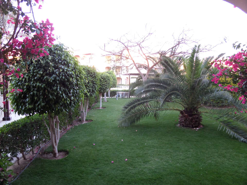 Blick aus dem Zimmer JAZ Aquamarine Resort