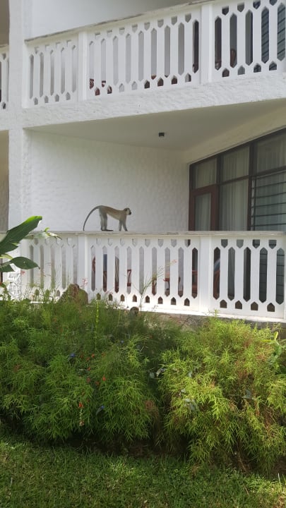 Sonstiges Travellers Beach Hotel & Club