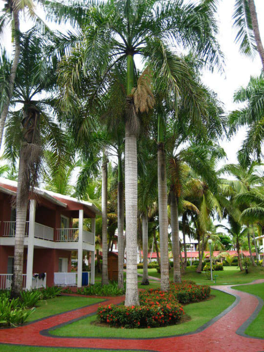 Wohnhaus Grand Palladium Select Bávaro Resort & Spa