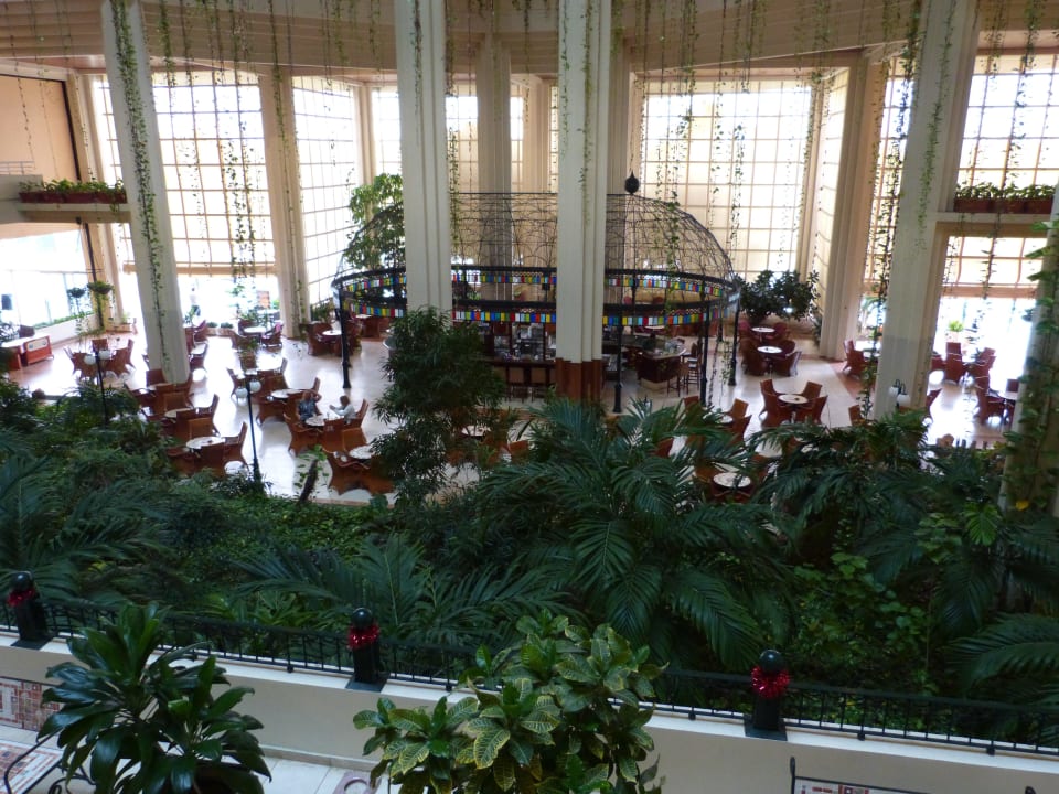 Bar Blau varadero - Adults only