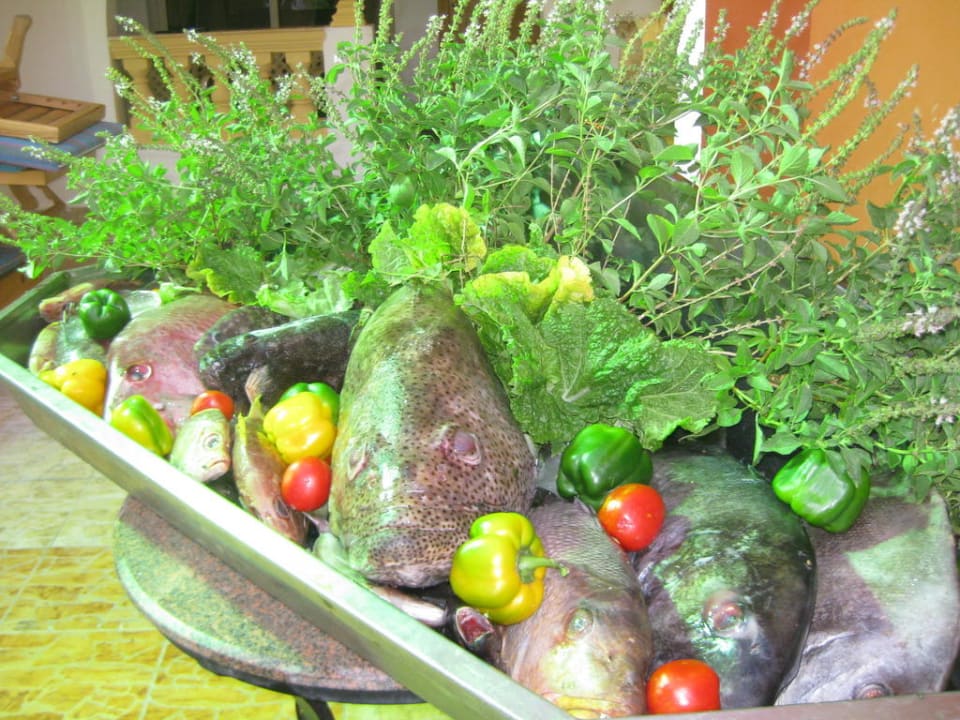 Büffet am Abend Pickalbatros Alf Leila Wa Leila Resort - Neverland Hurghada