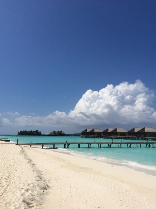 Wasserbungalows Veligandu Maldives Resort Island