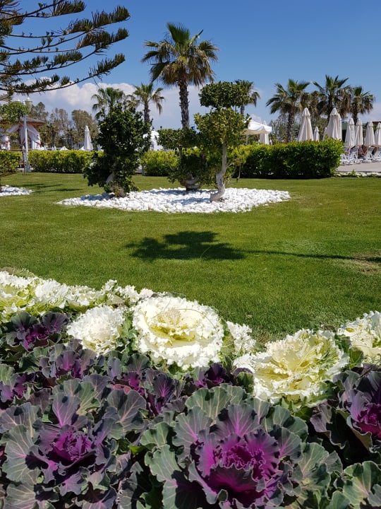 Gartenanlage Delphin BE Grand