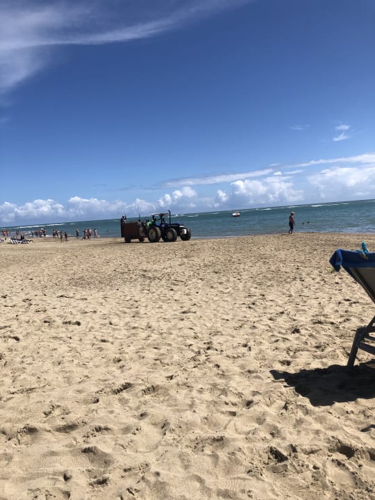 Strand VH Atmosphere - Adults only