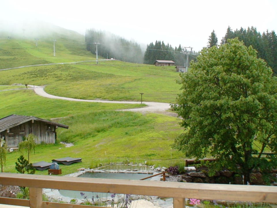 Blick auf Wanderweg zum Gipfel Holzhotel Forsthofalm