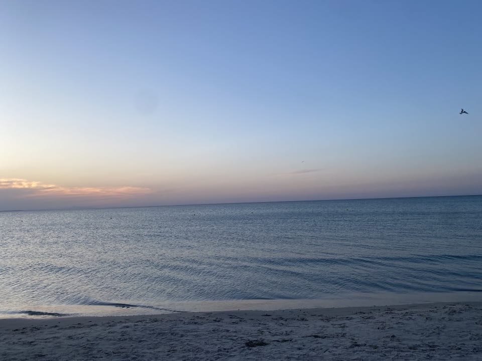 Strand Iberostar Selection Kuriat Palace