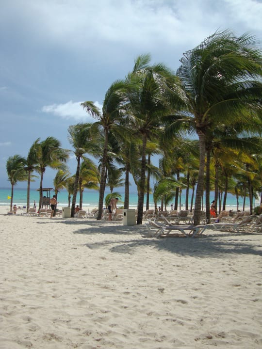 Palmen dienen als Sonnenschirme  Hotel Riu Palace Riviera Maya