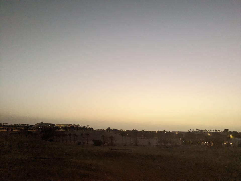 Ausblick JAZ Neo Saraya Palms