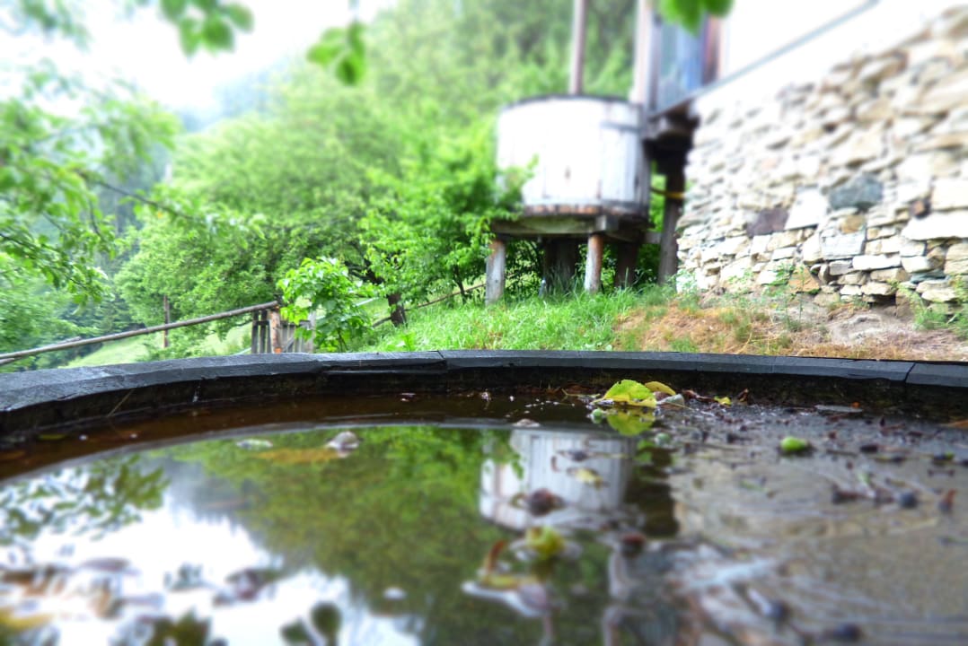 Hüttenansicht LUXGUT - OLIVIA