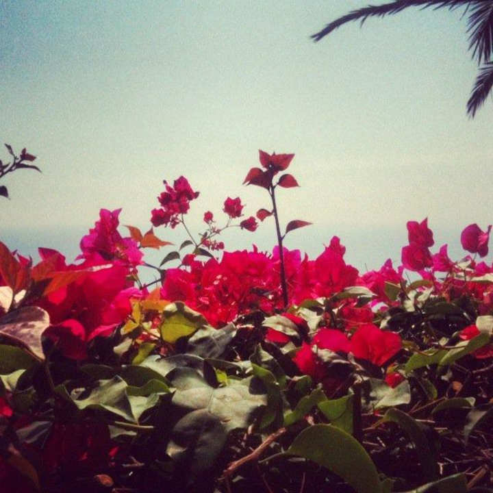 Widok Capo dei Greci Taormina Coast Resort Hotel & Spa