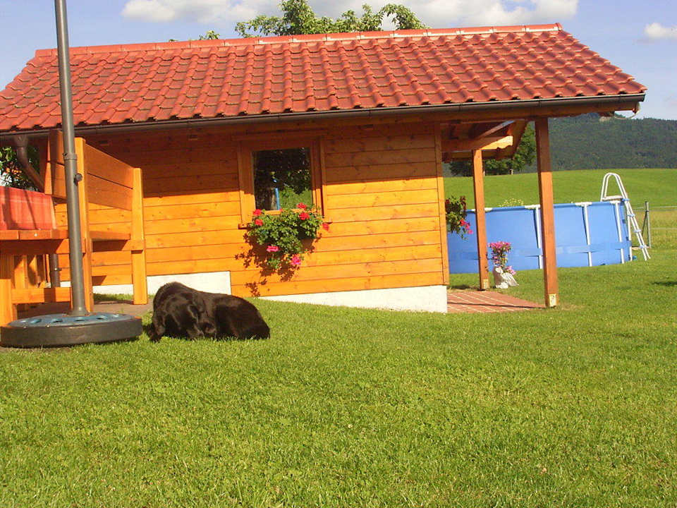 Hofhund Luna mit Grillhütte und Pool Bauernhof Stoaberer
