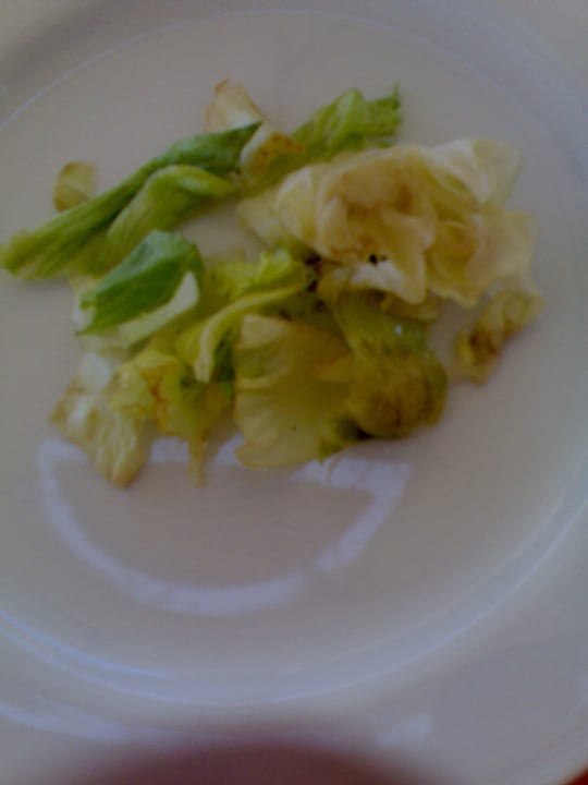 Salat :-( Malikia Resort Abu Dabbab