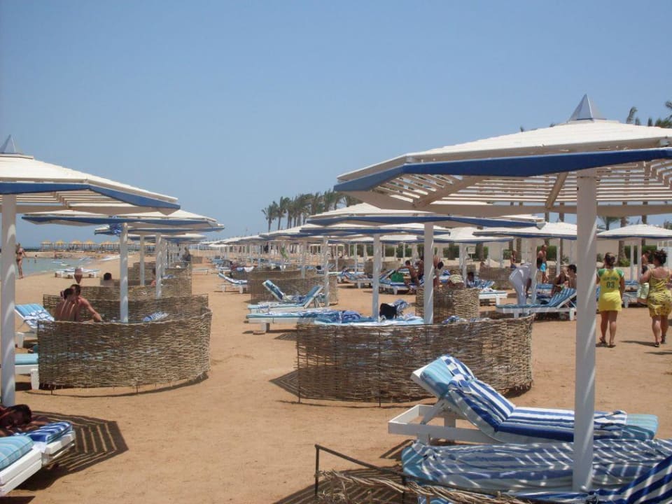 Liegen am Strand Pickalbatros Alf Leila Wa Leila Resort - Neverland Hurghada