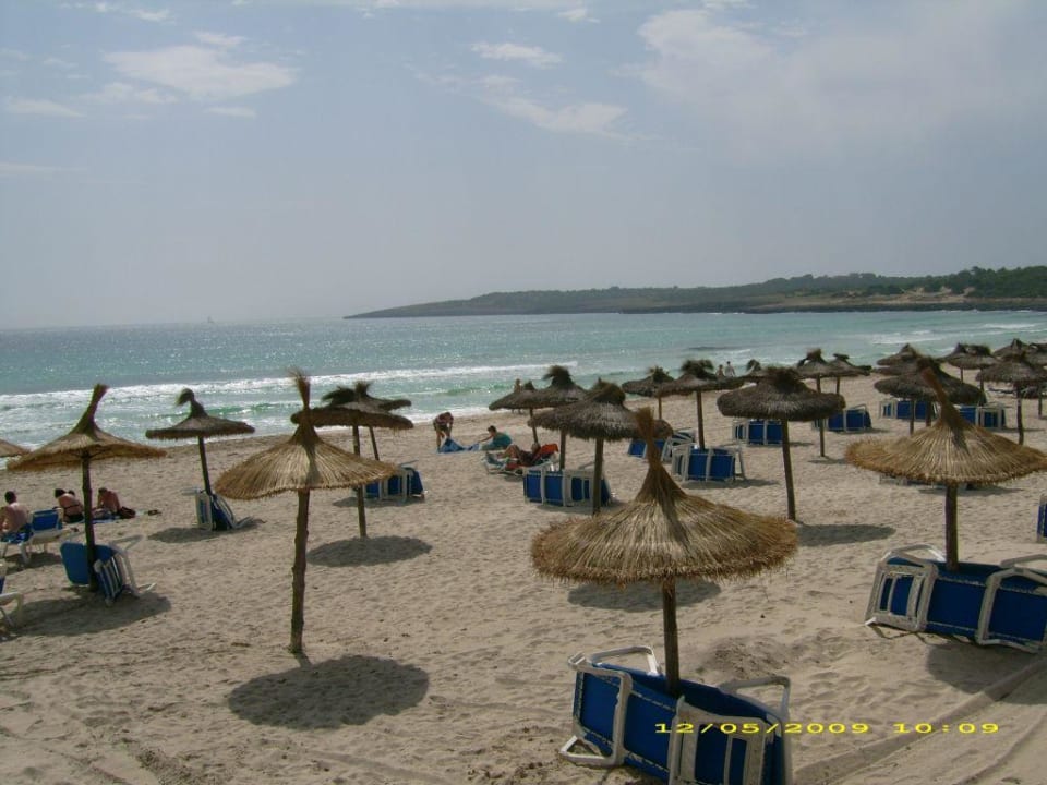 Strand allsun Hotel Borneo - Adults only