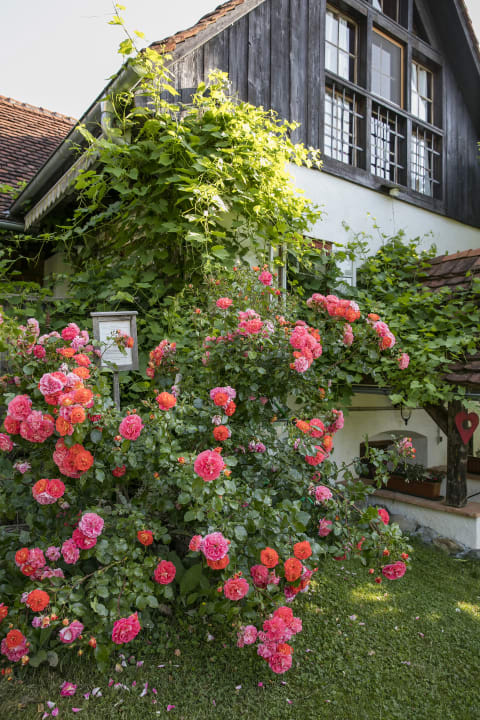 Außenansicht Hotel Altes Gehöft am Lormanberg