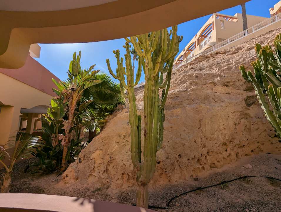 Gartenanlage H10 Playa Esmeralda - Adults only