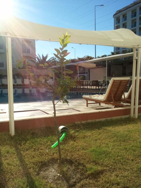 Poolanlage Hotel Sidekum