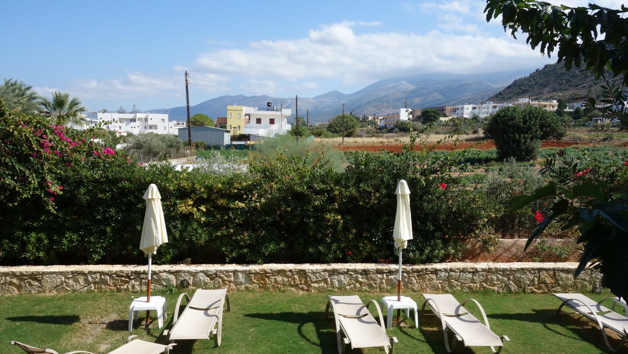 Aussicht auf die Insel vom Flur Cactus Royal