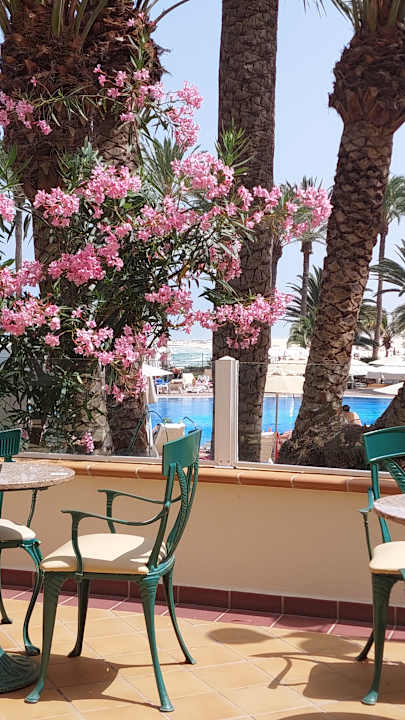 Gastro Hotel Riu Palace Tres Islas