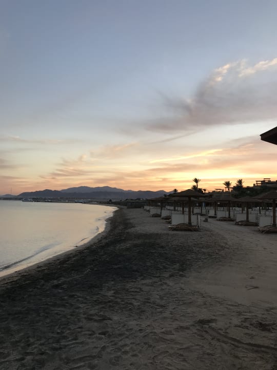 Strand Shams Prestige Abu Soma-Adults Only