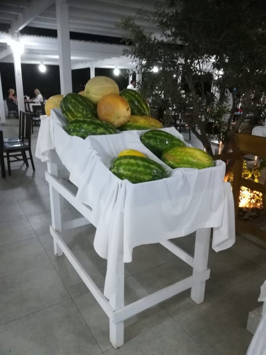 Gastro Club Salammbô Hammamet