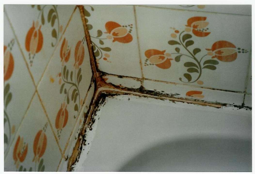 Schöne Blumen,oder? Hotel Nikolina