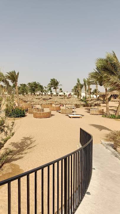 Sonstiges Desert Rose