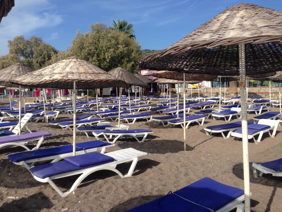 Hotel beach Petunya Beach Resort