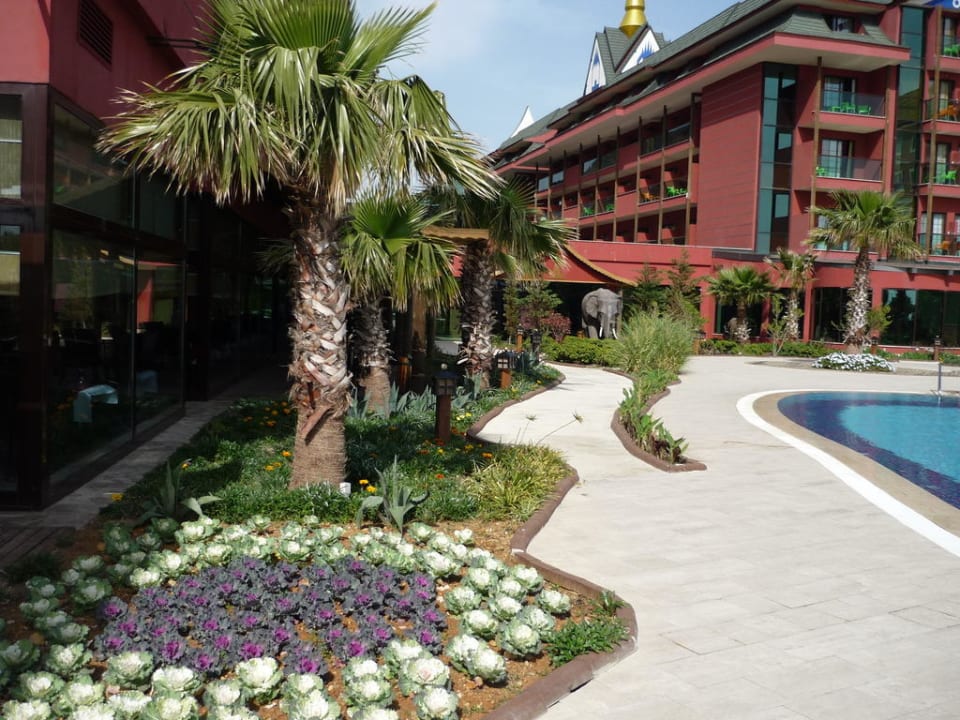 Garten im Hotel Siam Elegance Hotels & Spa