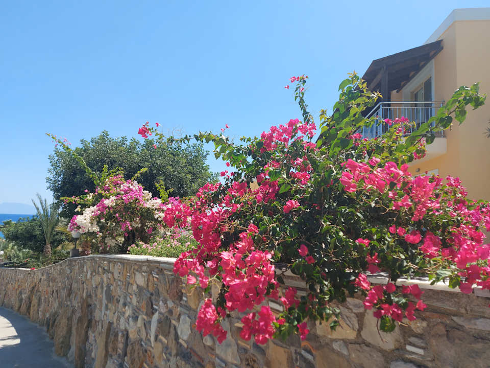 Gartenanlage Grand Blue Beach Hotel