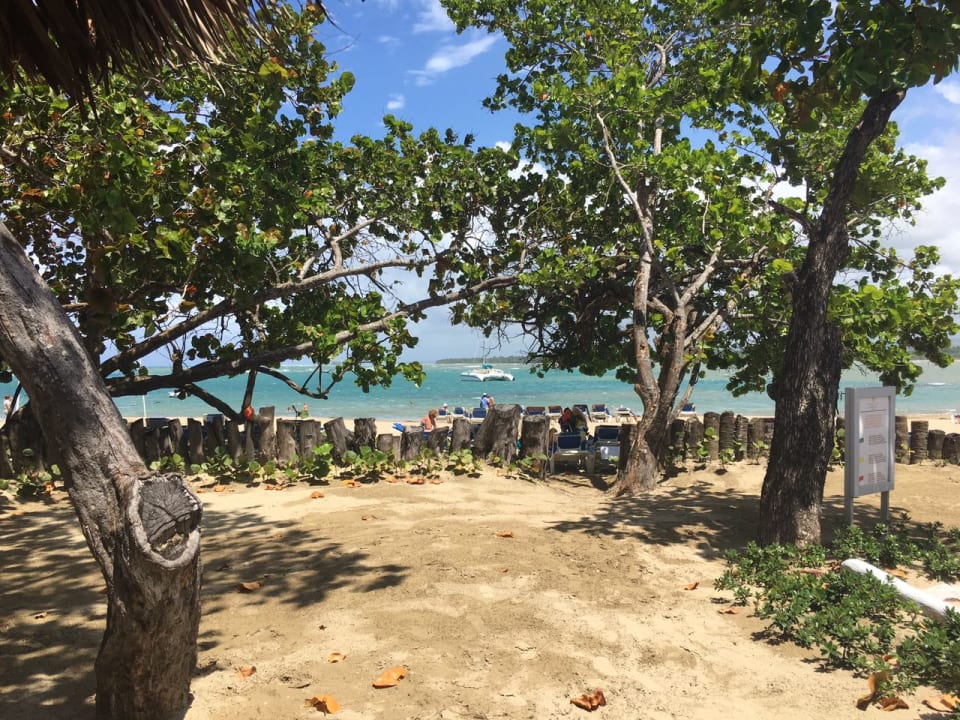 Strand Sunscape Puerto Plata